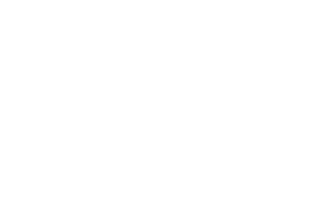 bluestone-real-estate-logo-